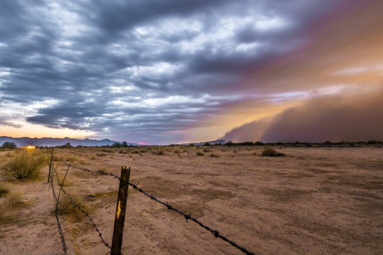 Haboob, during monsoon season.